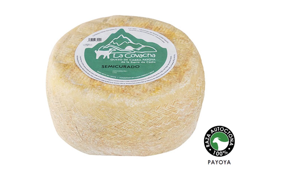 piezaqueso.jpg