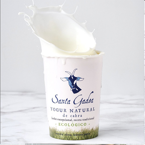 YOGUR SANTA GADEA